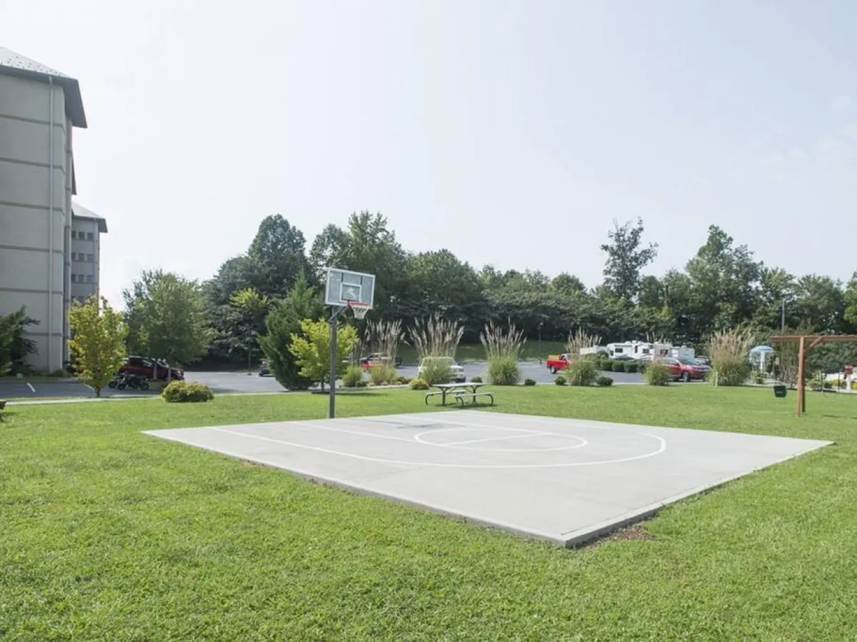 An open basketball court with a hoop set amid greenery offers space for friendly games and outdoor exercise. The court is surrounded by nature, inviting both energetic play and communal activity for guests of all ages.