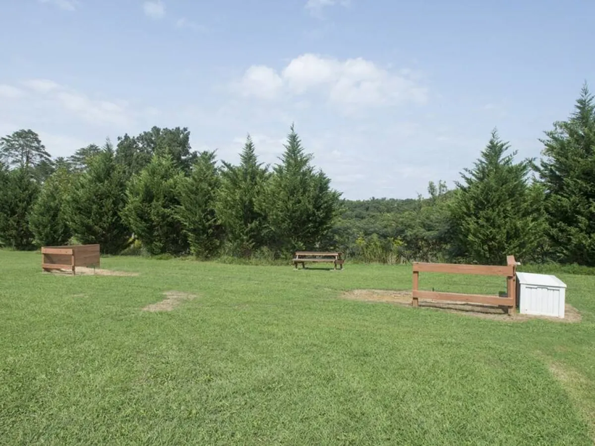 A peaceful outdoor scene with wooden benches set on green grass, surrounded by evergreen trees and a scenic distant landscape. The setting is designed for quiet relaxation, reading, or hosting a small gathering in nature.